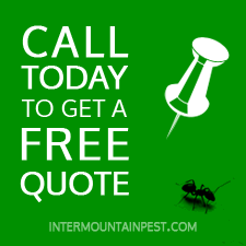 Call now to get a free quote for pest control services in the boise area or mccall area